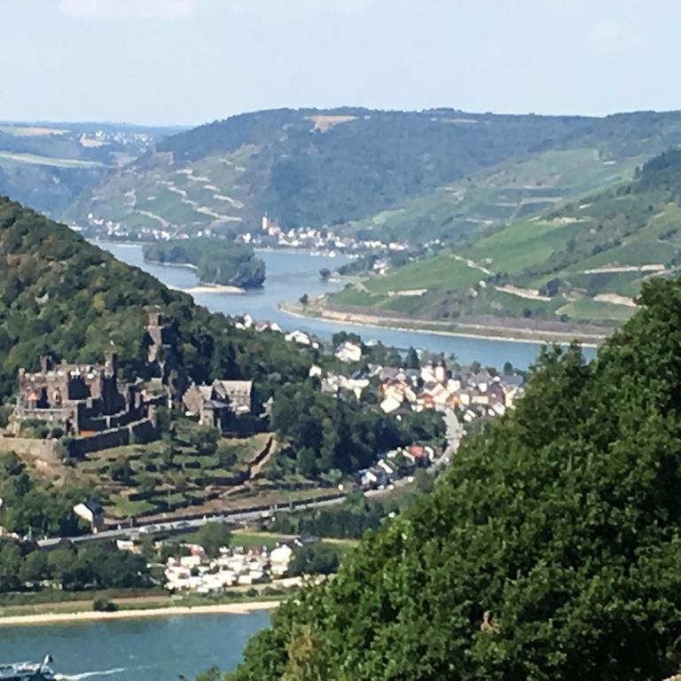 Гостевой дом Landgasthof Germania Рюдесхайм-на-Рейне Экстерьер фото